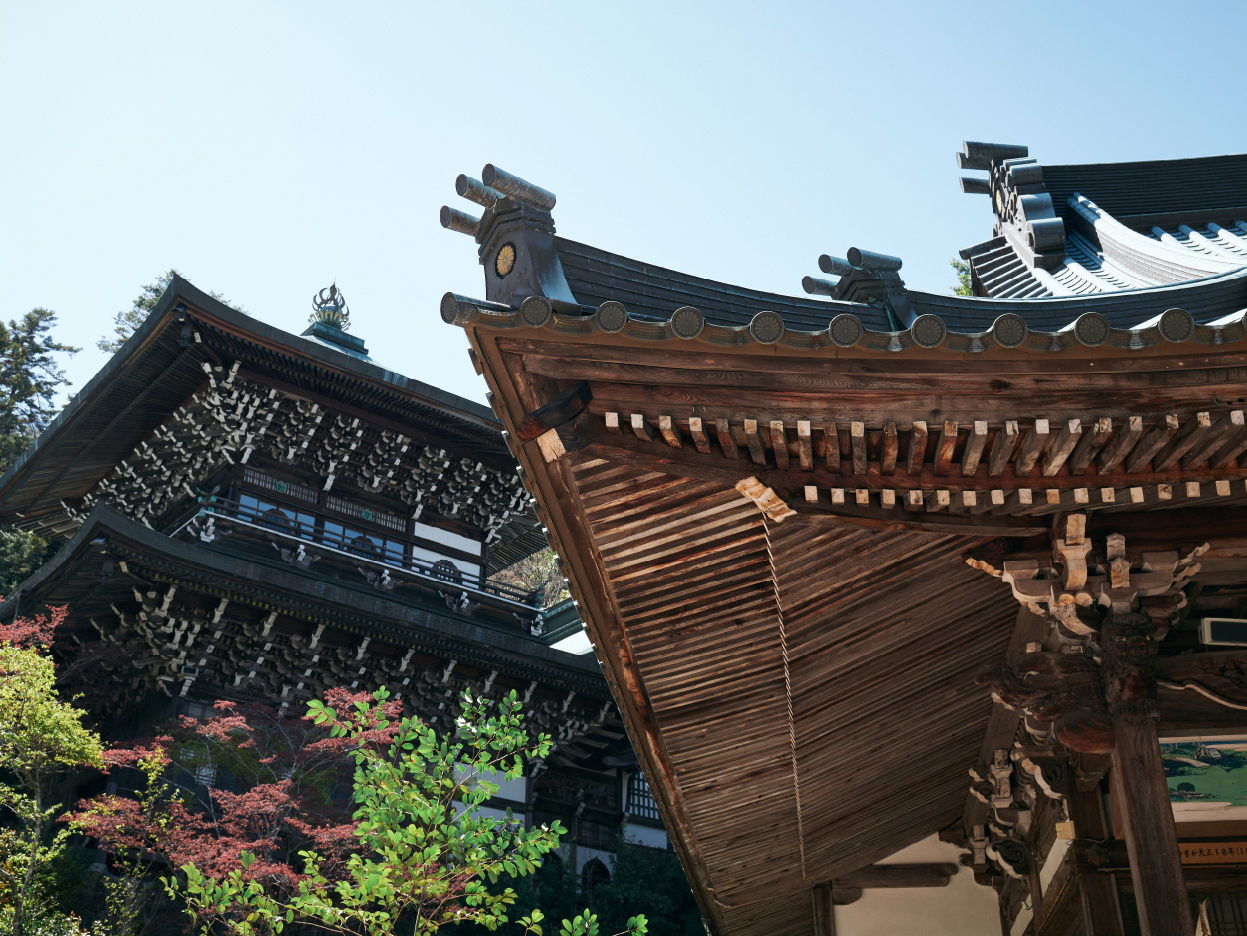 厳島神社の社殿と紅葉