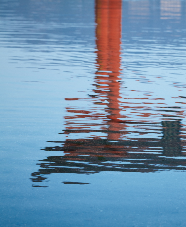 水面に光が反射する様子